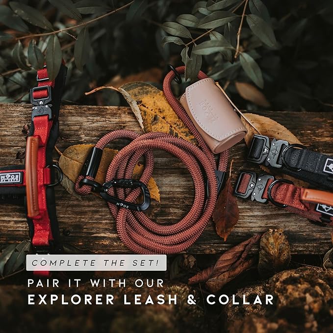 MADE TO ROAM Premium Explorer Harness - Y-Shaped Dog Harness with Adjustable Durable Nylon, Soft Padding, Metal Buckles and Leather Handle for Small, Medium, Large Dogs (Utah Glow, Size 7)-Mewly Pet