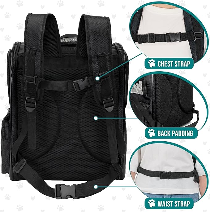 PetAmi Dog Backpack Carrier for Small Large Cat, Pet, Puppies, Ventilated Pet Hiking Backpack Travel Bag, Airline Approved Cat Backpack Carrier, Safety Back Support, Camping Biking, Max 18 lbs, Black-Mewly Pet