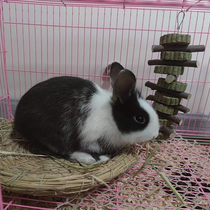 Rabbit Chew Toys for Teeth Grinding Bunny Treats 100% Natural Wood Timothy Grass Treats for Guinea Pigs Chinchillas Hamsters 2pcs-Mewly Pet