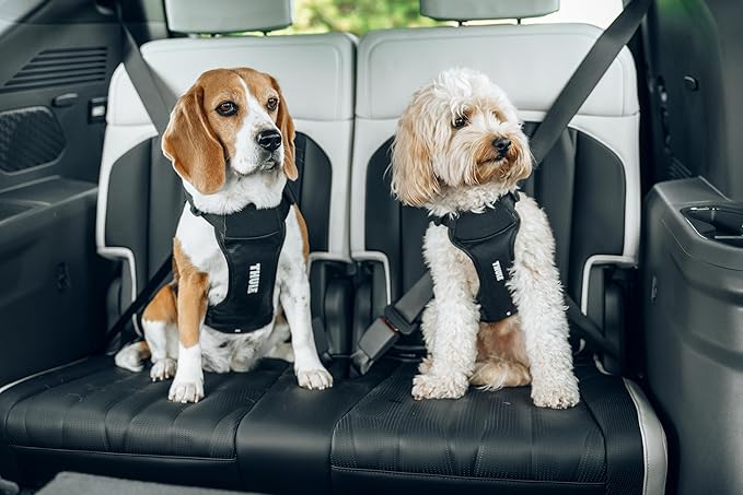Thule Cappy Dog Harness L - Crash-Tested for Safety - Seatbelt passthrough - Adjustable & Easy to Clean - Padded Breathable mesh Panels - Leash Loop - Step-in Design-Mewly Pet