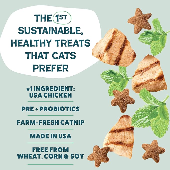 Shameless Pets Crunchy Cat Treats - Catnip Treats for Cats with Digestive Support, Kitten Treats with Real Chicken, Natural & Healthy Flavored Feline Snacks - Catnip N Chill, 1-Pk (12 Oz)-Mewly Pet