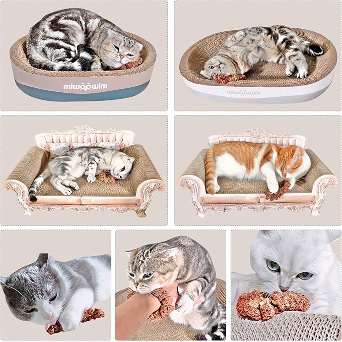 Natural Silvervine Gall Fruit Cat-Attracting Bracelet,Interactive Cat Toy for Indoor Cats,Cat Chew Toy with Gallfruit | Catnip & Silvervine Alternative, Stress Relief & Gift-Mewly Pet