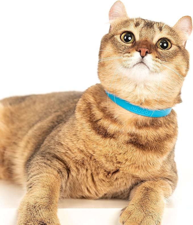 Breakaway Cat Collar - Soft, Comfortable, and Lightweight Safety Buckle Collar with ID Tag Ring for Outdoor Cats and Sensitive Skin Kittens by Nuvuq (6 ⅞" to 10 ¼", Blue)-Mewly Pet