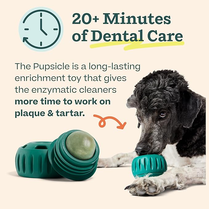 WOOF Dental Kit- Includes Pupsicle Dog Toy, Treat Tray, Shaker Bottle, Chicken Pupsicle Pops, and Dog Teeth Cleaning Powder - Supports Oral Health for Dogs - Large-Mewly Pet