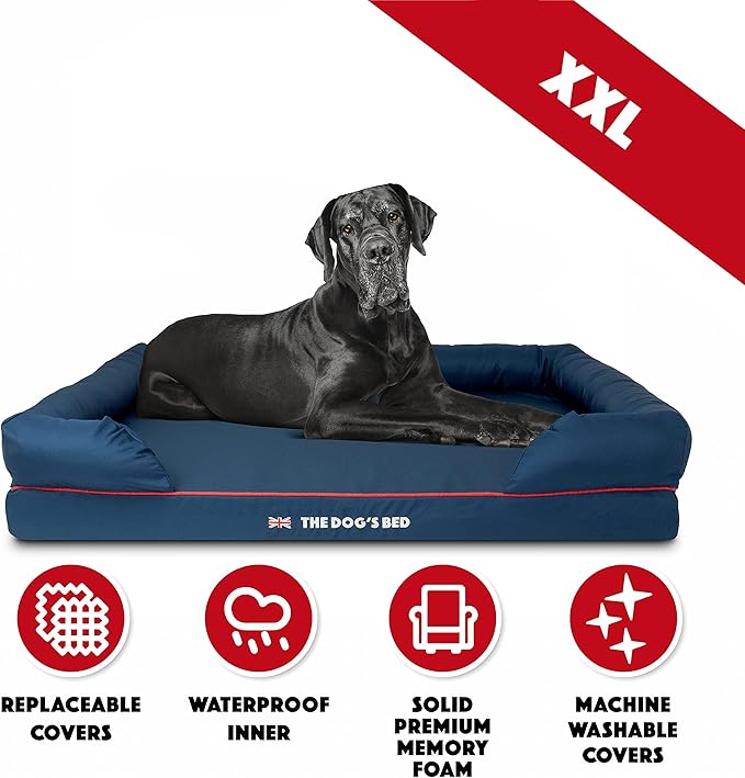 The Dog’s Bed Orthopedic Dog Bed XXL Blue Oxford with Red Trim UK Flag Dog Bed 51.5x39, Memory Foam, Pain Relief: Arthritis, Post Surgery, Lameness, Veterinary Approved, Waterproof Washable Cover-Mewly Pet