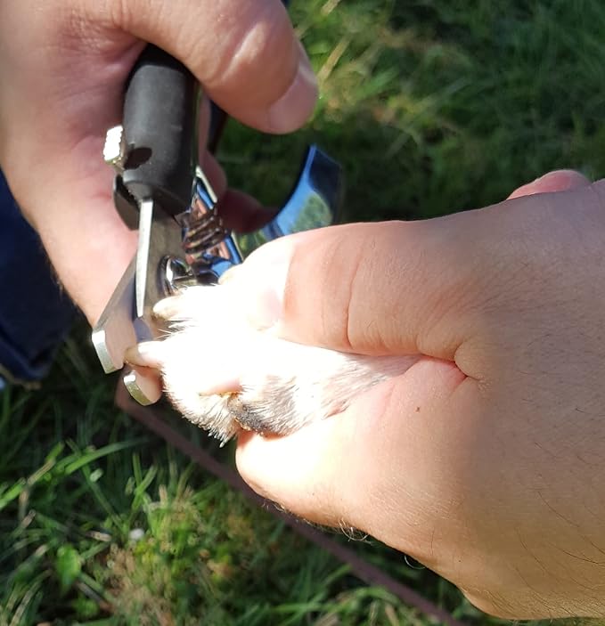 Resco Dog Nail Clippers with SuperCut Technology-Mewly Pet