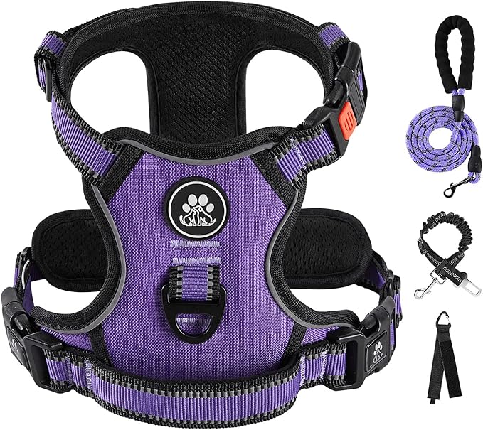 IVY&LANE No Pull Dog Harness for Medium Dogs, Dog Vest Harness with Leash, Safety Belt and Storage Strap, Fully Adjustable Harness, 360° Reflective Strip, Soft Handle (Purple, M)-Mewly Pet