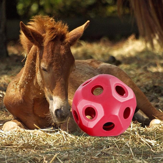 Cute 15.7" Horse Treat Ball, Carrot Feeding Toy Ball Multifunctional Hanging Treat Snack Ball for Horse Stable Stall Paddock Rest, Red-Mewly Pet