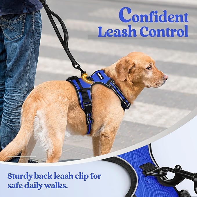 rabbitgoo Dog Harness No Pull with 2 Leash Clips, Adjustable Soft Padded, Reflective Oxford No Choke Pet Vest with Easy Control Handle for Large Dogs, Dazzling Blue, XL-Mewly Pet