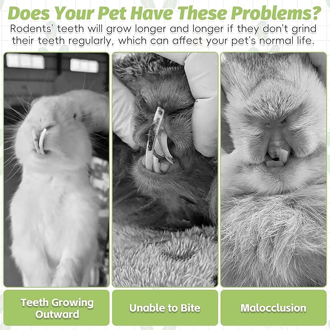 Fhiny 24 PCS Rabbit Chew Sticks, Natural Papaya Wood Seagrass Guinea Pig Chew Toys for Teeth Small Animal Molar Sticks Snacks for Bunny Guinea Pig Chinchilla Ferret Hamster Gerbil Dental Care-Mewly Pet