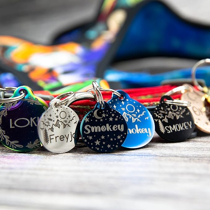 Personalized Dog Tag with 5 Lines of Custom Deep Engraved Durable Stainless Steel Pet ID Name Tag Designer Regular Size Round-Mewly Pet