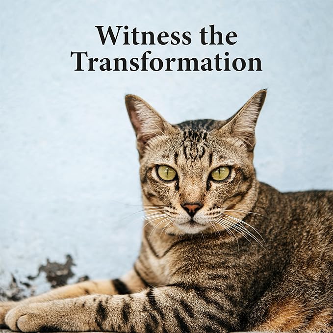 No More Tapeworms in Cats - Dewormer for Cats - 3ml Dropper-Mewly Pet