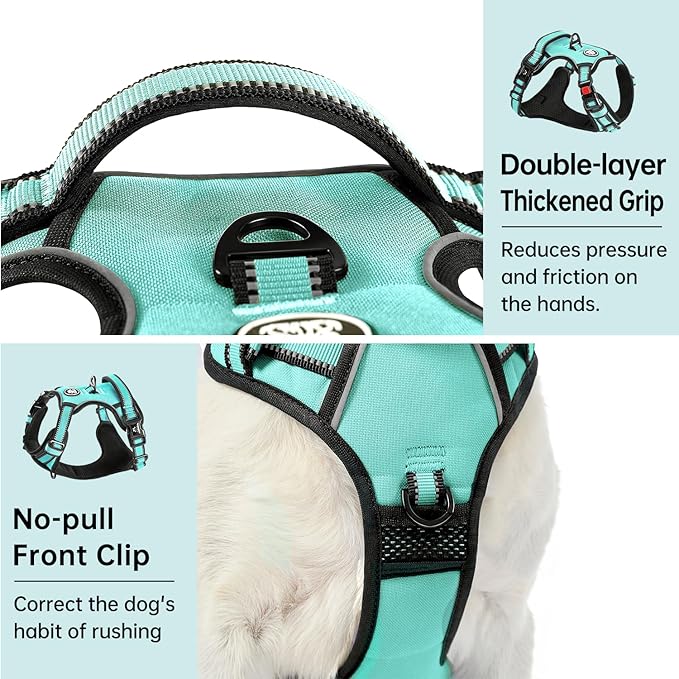 IVY&LANE No Pull Dog Harness with Leash Set, Reflective No Choke Pet Vest,Adjustable Oxford Dog Vest Harness with Easy Control Handle for Large Dogs (Turquoise,XL)-Mewly Pet