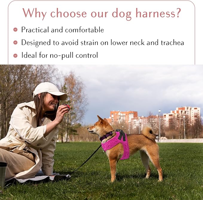 Comfort Fit Dog Harness Soft Padded No Pull Harness with Adjustable Buckles for Small Medium Large Dogs Step in Pet Vest with Easy Control Handle for Walking Jogging Running Training Dogs & Puppies-Mewly Pet