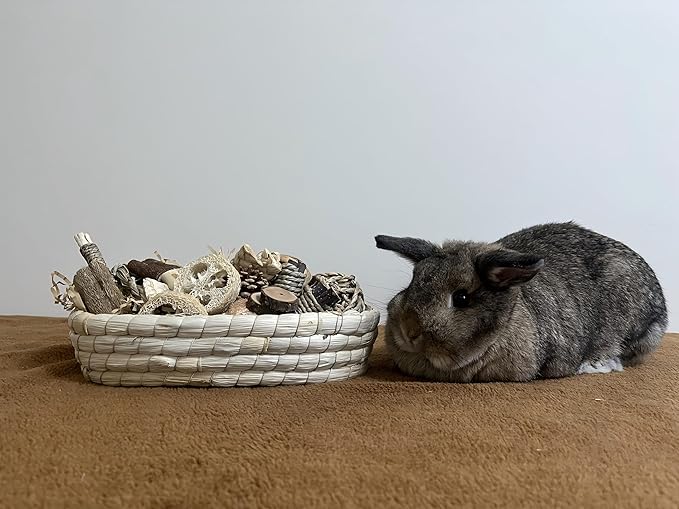 31PCS Rabbit Chew Treat Toys for Teeth Health, Natural Bunny Enrichment Toys for Boredom & Stress Relief, Keep Busy Toys for Guinea Pig Chinchilla Hamster Rat Gerbil Degu Indoor Outdoor-Mewly Pet