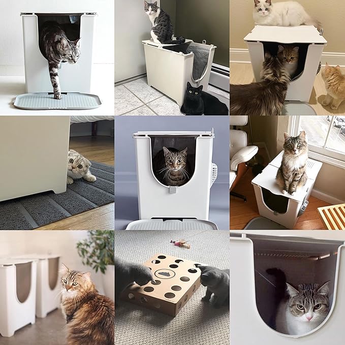 Modkat® Flip Litter Box, Front-Entry, Full Height Seamless Base, Reusable Litter Liner, Sifting Litter Scoop, 2X Bamboo Charcoal Filters-Mewly Pet