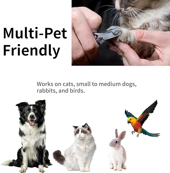 Dog Nail Trimmers & Dog Nail Clippers for Grooming - Small Dog Nail Clippers - Safe and Easy Stainless Pet Supplies-Mewly Pet