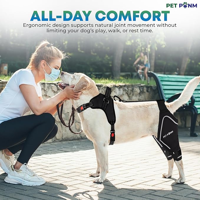 Comfortable Dog Knee Brace for Both Hind Legs with Harness - for ACL Tear, Luxating Patellae, Osteoarthritis & Instability - for Recovery & Injury Prevention in Active/Aging Dogs - (Small)-Mewly Pet