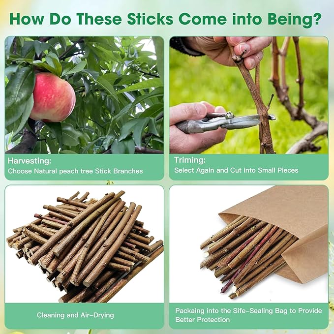 250g Natural Peach Wood Chew Sticks for Rabbits, Hamsters, Chinchillas - Extra Hard Teeth Grinding Toy | Untreated, Safe & Long-Lasting Rodent Chews-Mewly Pet