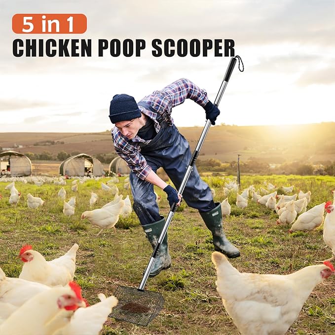Esmorah 10 Inch Large Metal Chicken Poop Scooper for Sand & Coop Cleaning - Long Sifting Shovel with 24"-68" Adjustable Handle, 5 Lengths Heavy Duty Stainless Steel-Mewly Pet