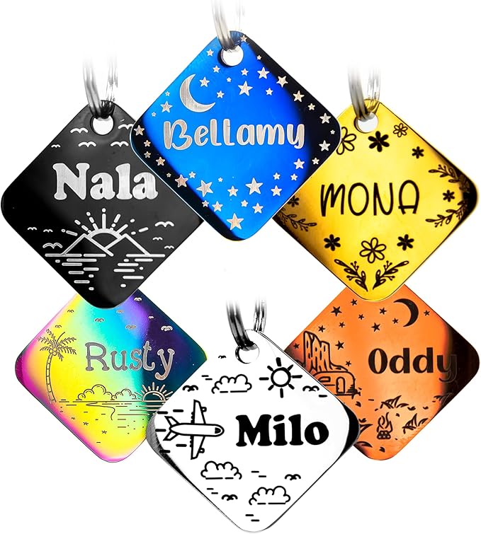 Personalized Dog Tag with 5 Lines of Custom Deep Engraved Durable Stainless Steel Pet ID Name Tag Designer Regular Size Diamond-Mewly Pet
