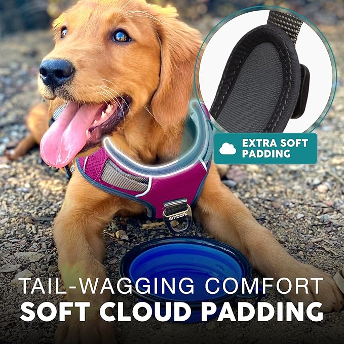 Embark Adventure Dog Harness, Reflective Trim No Pull Dog Harness for Large Dogs - Military Grade Nylon, Front Clip with Gel Lined Handle.-Mewly Pet