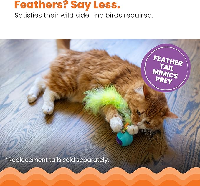Catstages Roll & Chase Robot Toy –Interactive Electronic Cat Toy for Indoor with Feather Teaser Tail, Lights, USB Rechargeable, Automatic Moving Action for Active Play, Mental Stimulation & Enrichment-Mewly Pet