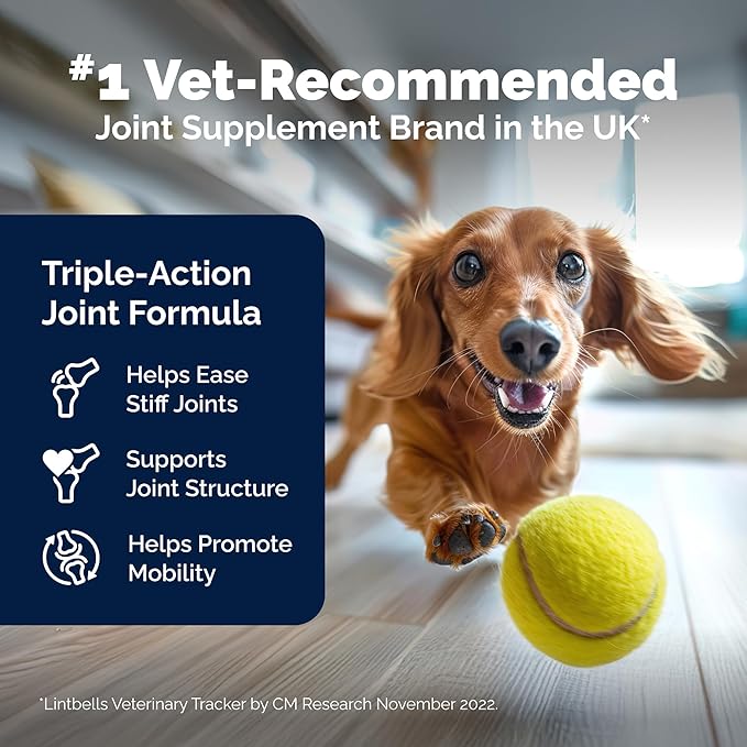 YuMOVE Hip & Joint Supplement for Dogs with Glucosamine, Hyaluronic Acid, Green Lipped Mussel & Omega 3 Joint Supplement - Regular or Advanced Strength (90ct, Advanced Vet Strength Soft Chews)-Mewly Pet