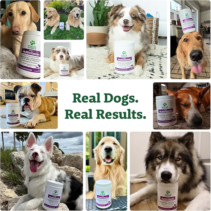 Doggie Dailies 5 in 1 Multivitamin for Dogs, Dog Multivitamin for Skin and Coat Health, Joint Health, Improved Digestion, Antioxidants, Support a Healthy Immune System (Peanut Butter) 225 Soft Chews-Mewly Pet