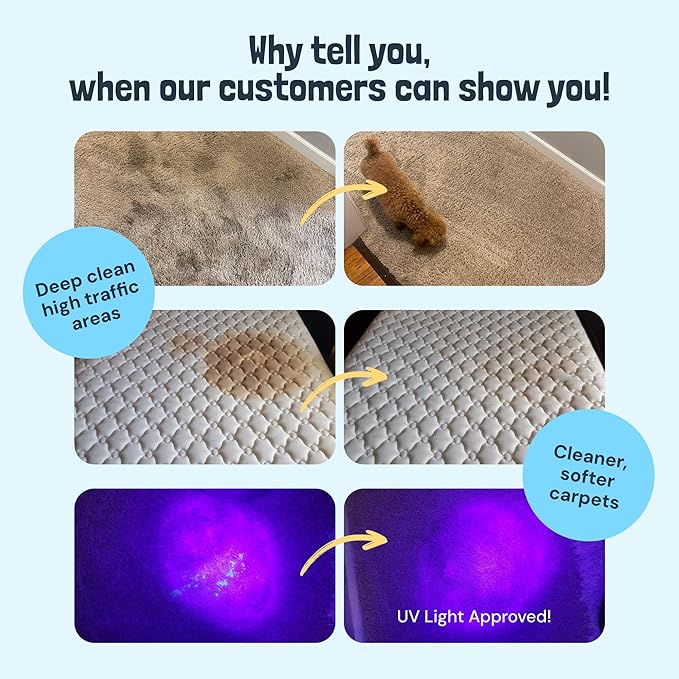 Sunny & Honey Carpet Cleaner Solution - 32 Fl Oz, Fresh Summer Scent - Rug Shampoo & Upholstery Cleaning Solution - Pet Odor Eliminator & Pet Stain Remover-Mewly Pet