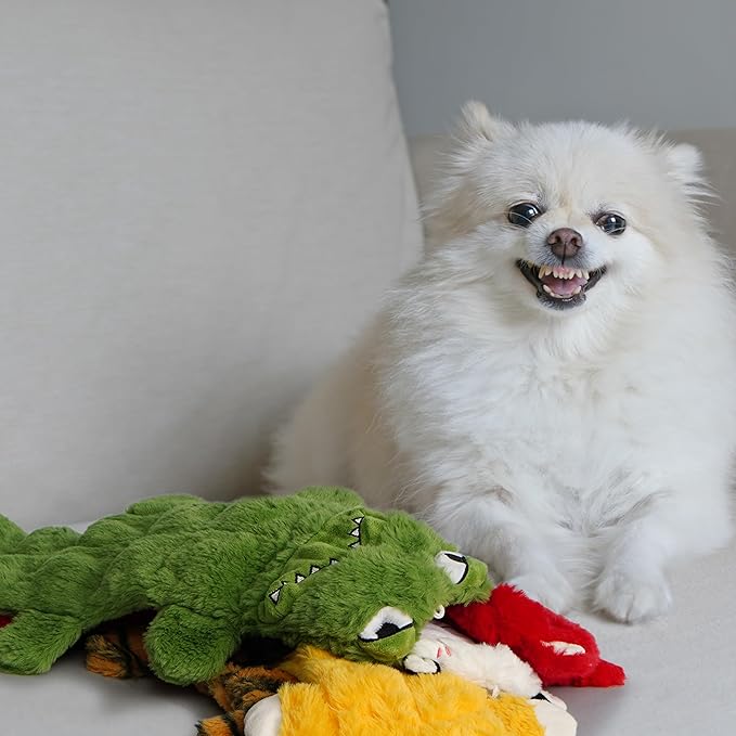 Nocciola Durable Dog Chew Toys for Aggressive Chewers, No Stuffing Squeaky Toys for Small to Large Dogs-Mewly Pet