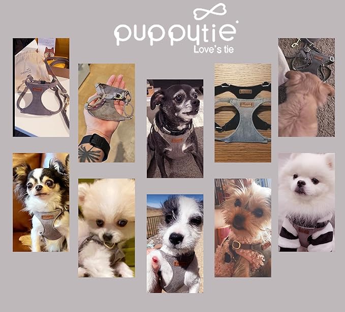 Puppytie No Pull xs Dog Harness with Multifunction Dog Leash,Soft Adjustable No Choke Escape Proof Pet Harness Vest,Silver Grey,XS-Mewly Pet