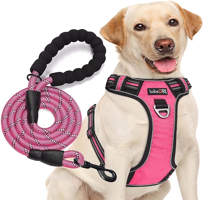 No Pull Dog Harness Adjustable Reflective Oxford Easy Control Medium Large Dog Harness with A Free Heavy Duty 5ft Dog Leash (M (Neck: 14.5"-20.5", Chest: 22"-28"), Pink Harness+Leash)-Mewly Pet
