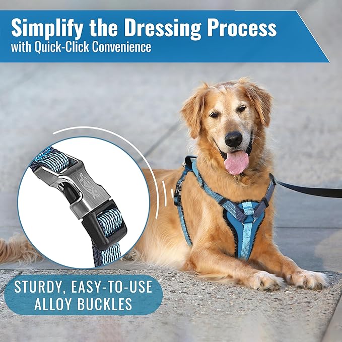 No-Pull Dog Harness with Handle - Escape Proof, Anti-Pulling, Grip Control, Multi-Angle Reflective for Safe Walks & Training, Easy On & Off, Metal Buckle–Pet Harness, Medium/Large Dogs- N H4- Blue-Mewly Pet