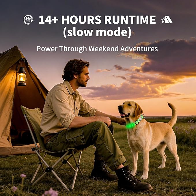 LED Dog Collar with Metal Buckle - USB Rechargeable Glow Collar for Dogs, Waterproof Light Up Dog Collar w/Reflective Strips - Adjustable Night Safety Collars by PetIsay(Green,Large)-Mewly Pet