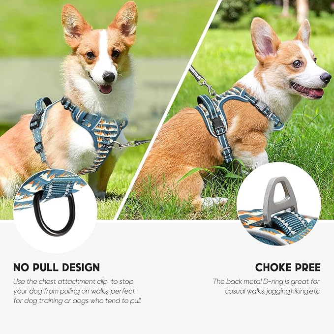 Timos Dog Harness, No-Pull Pet Harness with 2 Leash Clips, 3 Snap Buckles Adjustable Soft Padded Dog Vest, Reflective No-Choke Pet Oxford Vest with Easy Control Handle for Small Medium Large Dogs-Mewly Pet