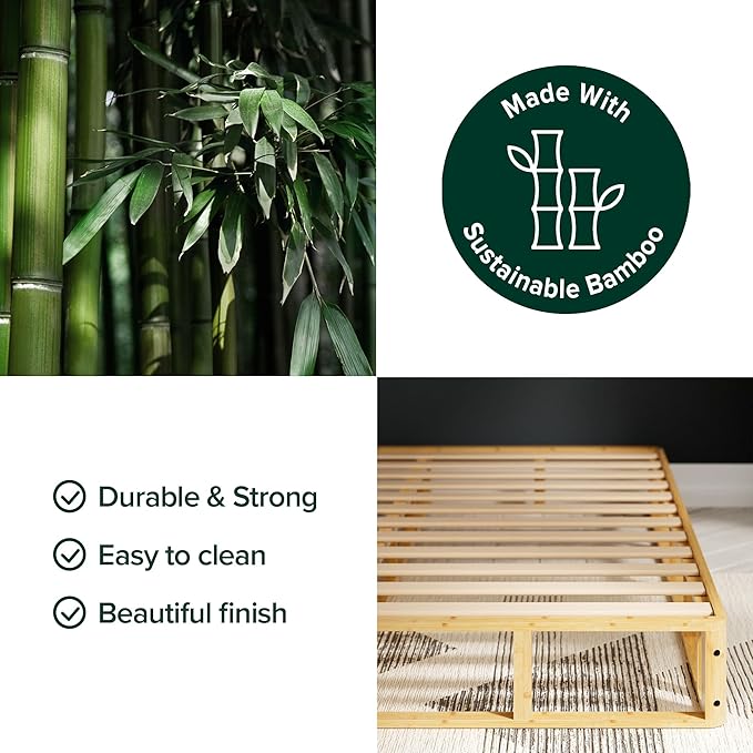 ZINUS Edgar 8 Inch Bamboo Box Spring, Mattress Foundation, Sturdy Bamboo Structure, Low Profile, Easy Assembly, Full