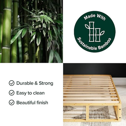 ZINUS Edgar 8 Inch Bamboo Box Spring, Mattress Foundation, Sturdy Bamboo Structure, Low Profile, Easy Assembly, Queen