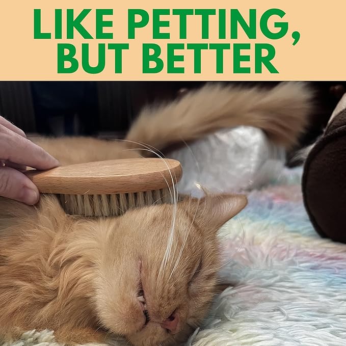 GranNaturals Boar Bristle Soft Cat Brush for Indoor, Outdoor, Short Haired Cats, Kittens, Small Dog, Rabbit, Furry Pets - Gentle Grooming on Sensitive Hair Coat & Tail with Durable Wooden Handle-Mewly Pet