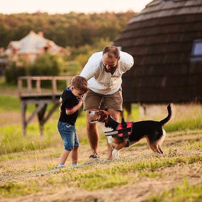 Dogline Dog Harness, Reflective No-Pull Adjustable Vest with Handle for Walking, Training, Service Breathable No - Choke Harness for Small, Medium or Large Dogs Room for Patches Girth 15 to 18 in Red-Mewly Pet