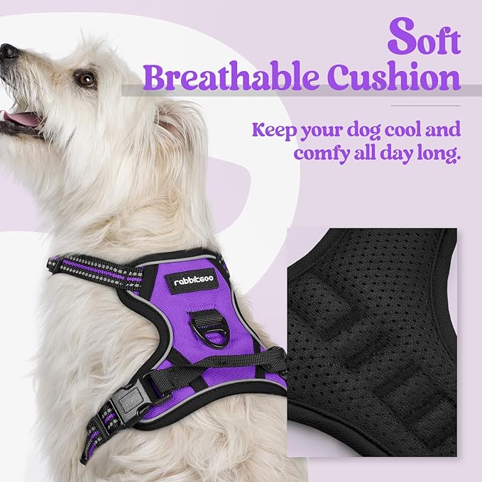 rabbitgoo Dog Harness No Pull with 2 Leash Clips, Adjustable Soft Padded, Reflective Oxford No Choke Pet Vest with Easy Control Handle for Puppy, Purple,XS-Mewly Pet