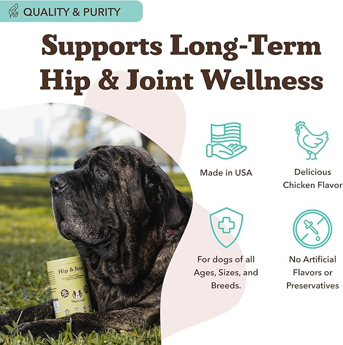 Natural Dog Company Hip & Joint Chews for Dogs with Glucosamine for Dogs + Chondroitin, MSM & Turmeric, Supports Mobility & Reduces Discomfort, Stiffness, Natural Pain Relief Joint Supplement. 180 Ct-Mewly Pet