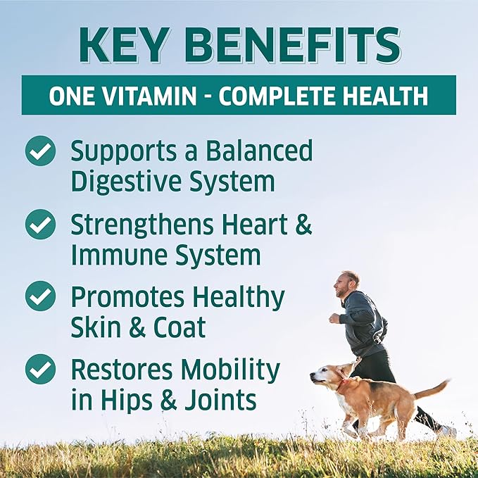Dog Multivitamin - Dog Vitamins and Supplements - Digestive Enzymes & Probiotics - Probiotics for Dogs - for Skin and Coat Allergies - Immune System & Overall Health - 120 Soft Chew Dog Treats-Mewly Pet