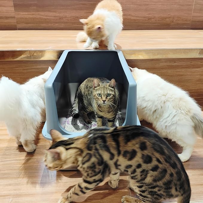 Large Stainless Steel Litter Box with Lid, High Sides, 16" Metal Cat Litter Box, Extra Large Litter Boxes for Big Cats, Tall Cat Litter Pan, Grey, Easy Clean-Mewly Pet