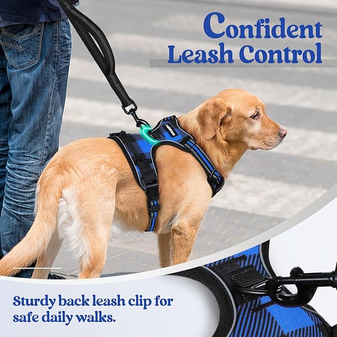 rabbitgoo Dog Harness No Pull with 2 Leash Clips, Adjustable Soft Padded, Reflective Oxford No Choke Pet Vest with Easy Control Handle for Medium Sized Dogs, Blue Plaid, M-Mewly Pet