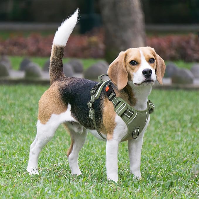 Timos Dog Harness Small Sized, No Pull Pet Harness with Neck Lockable Snap,No Choke Front Clip Dog Reflective Vest,Adjustable Metal Rings 3 Buckles,Easy Control Handle for Small Dogs Green S-Mewly Pet