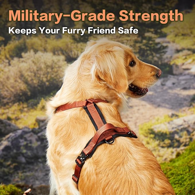 CLEPAWS Dog Harness for Small Dogs, No Pull Dog Harness Easy Walk with Metal Hardware, Ergonomic Y-Shaped Design, Soft Padding, Padded Handle, Durable High-Tensile Nylon (Canyon Red, S)-Mewly Pet