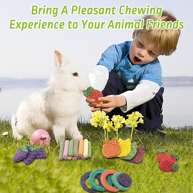 Fhiny 27 PCS Natural Bunny Chew Toys Molar Rabbit Toys Contain Timothy Grass Pumpkin Beets Purple Potatoes Carrot Hamster Treats for Chinchillas Guinea Pigs Mice Gerbils Teeth Grinding-Mewly Pet
