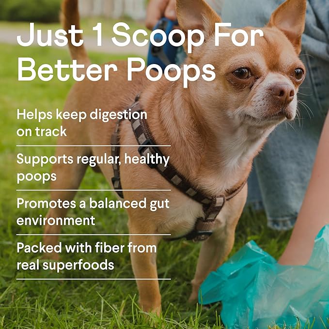 Finn Pumpkin Plus: Daily Digestive Support & Fiber-Rich Topper for Dogs | Promotes Regularity & Gut Health with Superfoods-Mewly Pet