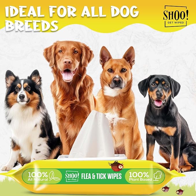 Shoo! Flea & Tick Wipes for Dogs | Convenient, Easy On-The-Go Protection | Plant Based, Natural Oils, Chemical Free | Repels & Prevents | 50 XL Wipes | (Citrus Burst)-Mewly Pet
